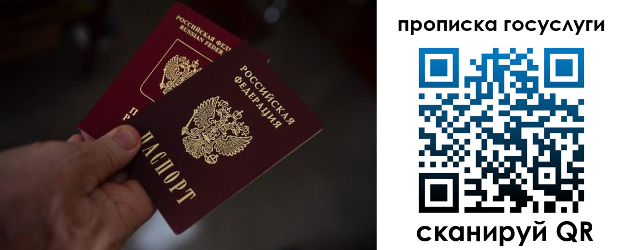 прописка ребенка в Кондрово
